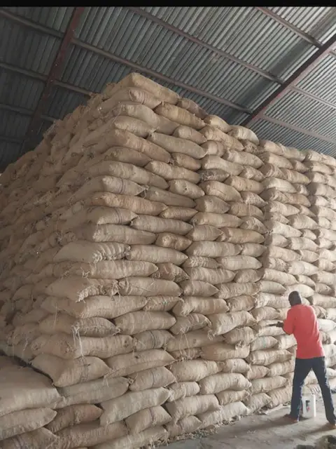 Sorted and Packaged Produce